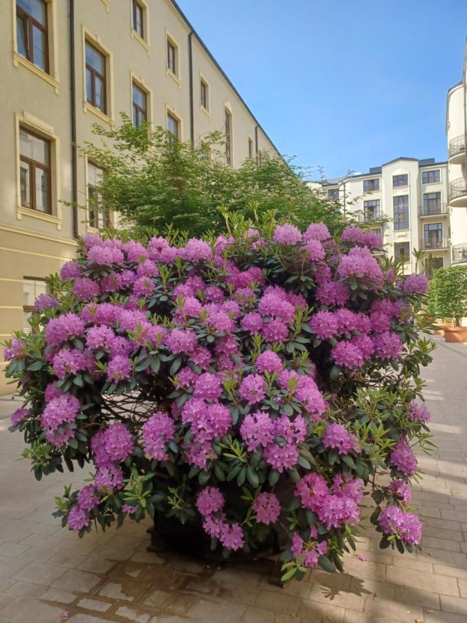 Apartament Piotrkowska 37 Studio Łódź Buitenkant foto