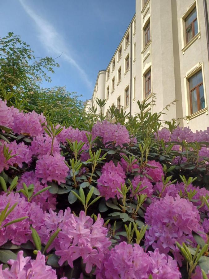 Apartament Piotrkowska 37 Studio Łódź Buitenkant foto